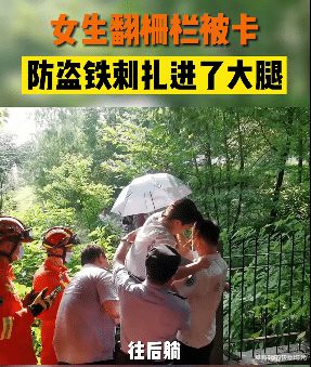 鋅鋼護欄廠家12345